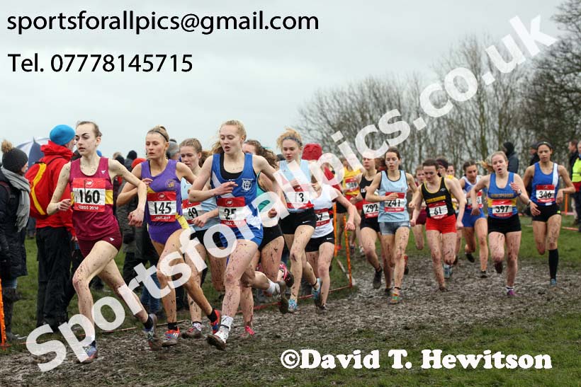 Senior girls 2019 New Balance English Schools Cross Country Champs, Temple Newsam, Leeds. Photo:  David T. Hewitson/Sports for All Pics